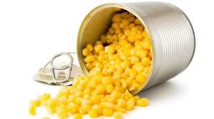 shutterstock_1089771482