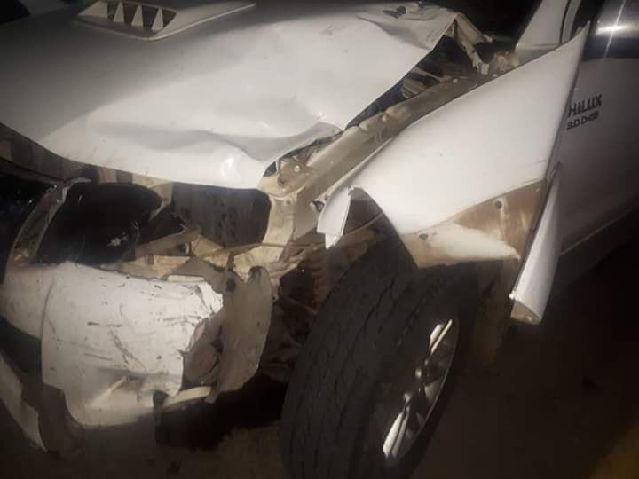 88321201_10222419101492903_7672098148109516800_n