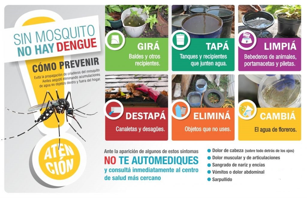 dengue.