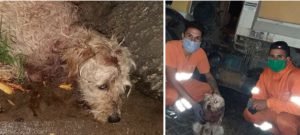 94335099_2450050808641567_6508782341610012672_n