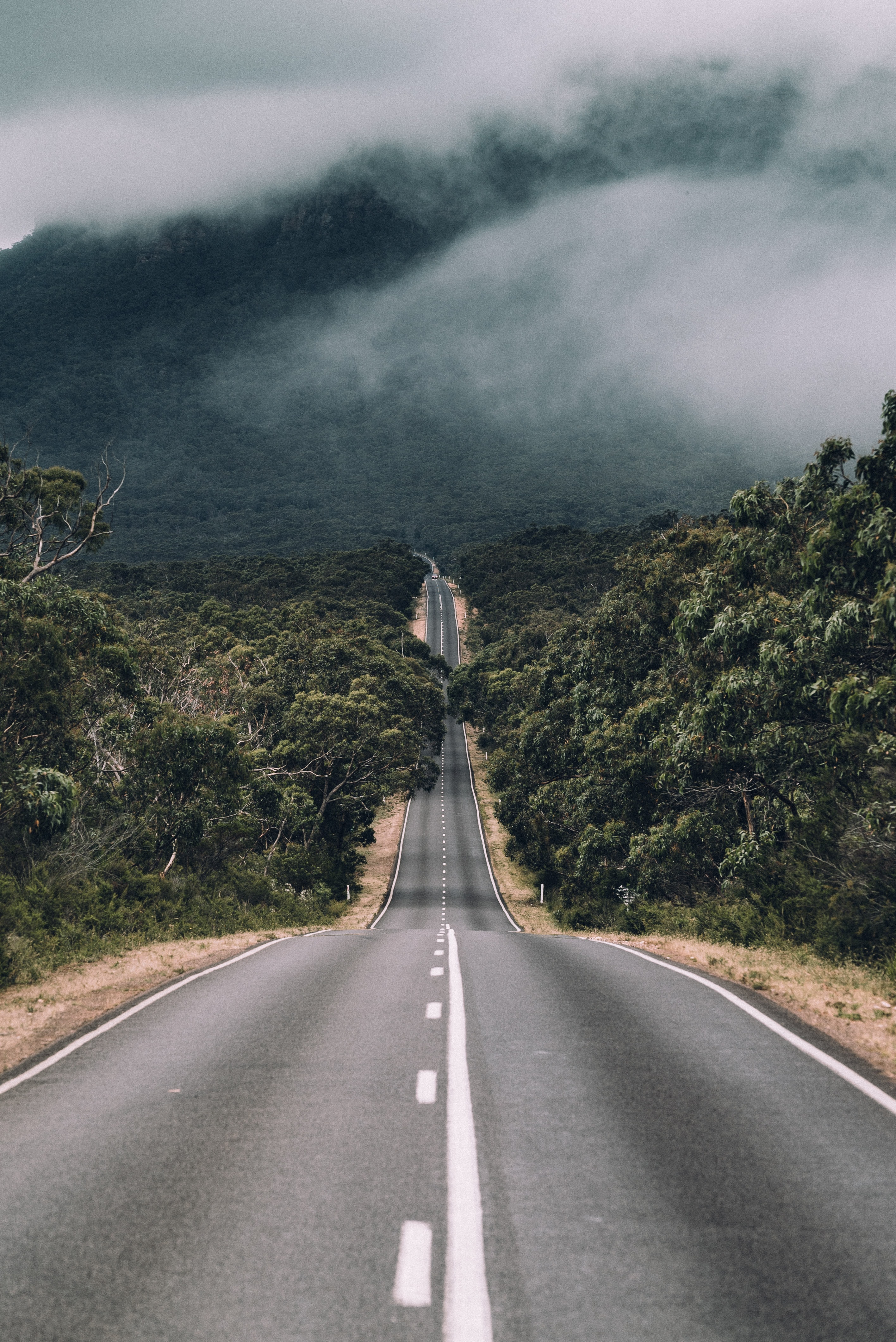 manuel-meurisse-5c8fczgvar0-unsplash