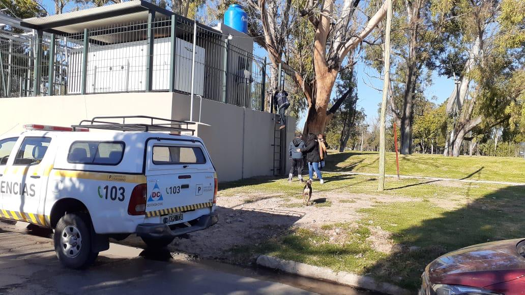 c60ab5d1-1d15-49d0-b09d-c136952be982