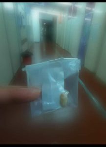 WhatsApp Image 2020-06-03 at 08.20.29