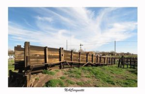 WhatsApp Image 2020-07-14 at 12.23.42