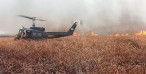 1597190354jpg-810x410-1