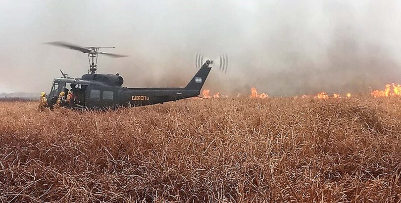 1597190354jpg-810x410-1