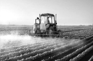 fumigacion_grande_nueva