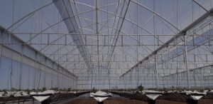 132009916_969706320104840_6893772672287073555_o