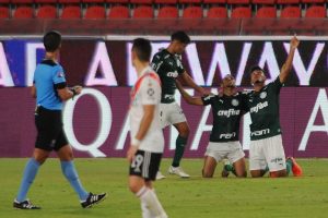 river palmeiras goelada 2