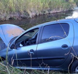 Captura de pantalla (70)