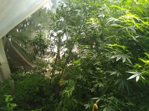 WhatsApp Image 2021-02-20 at 21.35.20 (1)