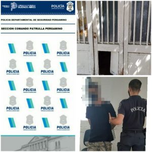 daño porton madrea 2