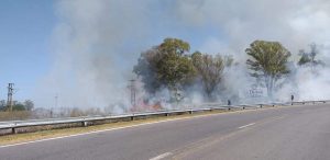 incendio curva peña 2