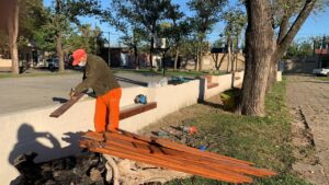 embellecimiento-de-plazas 2