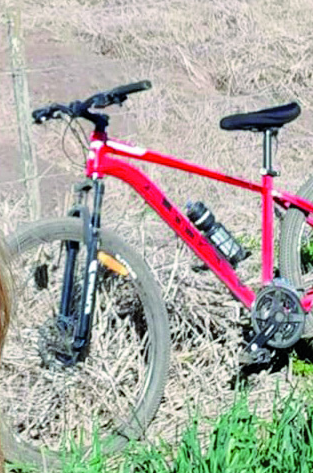 Captura de pantalla (96)