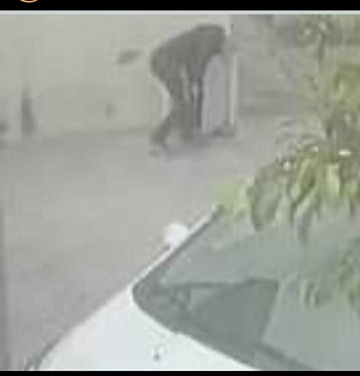 WhatsApp Image 2021-05-24 at 11.23.52