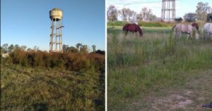 reclamos solares 2 2