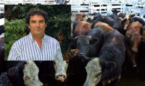 th_a42a72a425c164dd4407cbac84a3d92a_8003080839001w