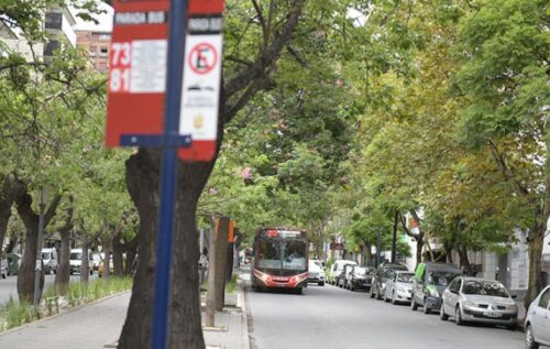 paro de transporte cordoba junio 2