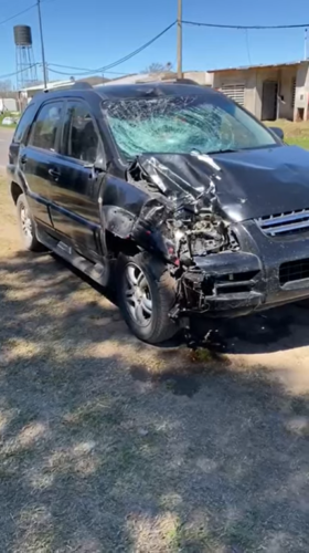 fernando accidente caballo suelto