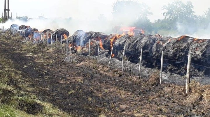 0b89a15c-de44-44a6-bd7b-c80b881aa83a