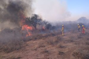 3 fallecidos incendio cordoba