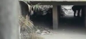 WhatsApp-Image-2018-05-18-at-11.31.48-AM-1200x545_c