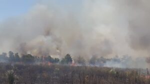 9f460afe-2c53-458a-9ce1-c0f78b8d54f3