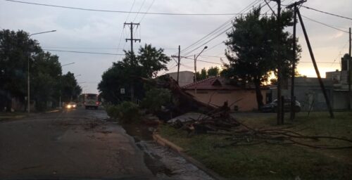 c385786e-904c-49a8-a03b-edf074b842d9