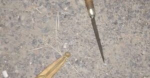 272967576_340443004758119_5853372058581557570_n