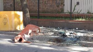 WhatsApp-Image-2022-01-31-at-09.05.11-e1643724573357