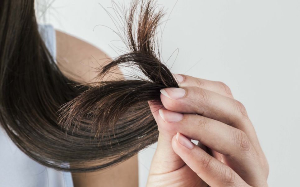 pelo_x2x_1.jpg_820697298