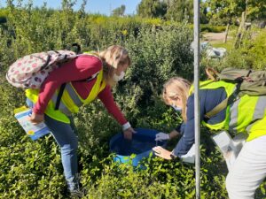 descacharrización-1