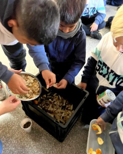 Proyecto-compostando4