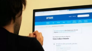 anses