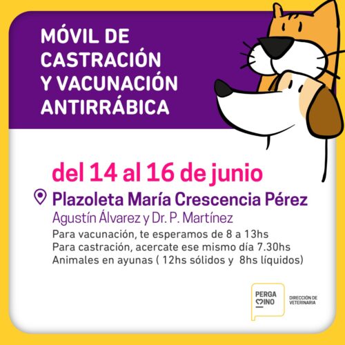 veterinaria