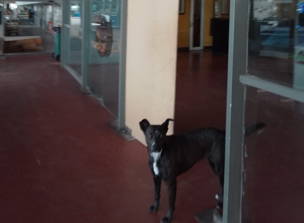 WhatsApp Image 2022-08-19 at 2.51.45 PM (2)