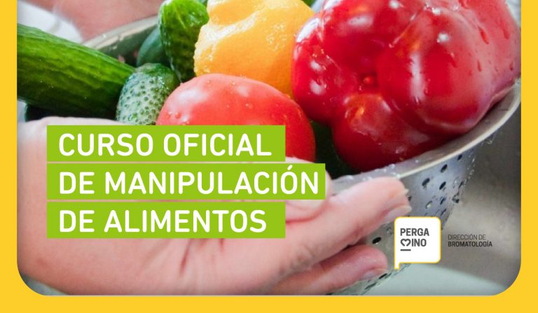 curso manipulacion
