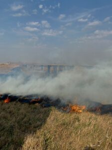 incendios forestales