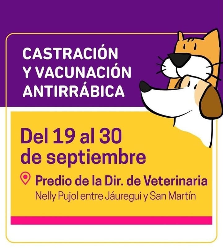 veterinaria