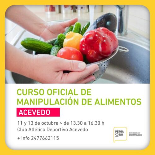 alimento flyer