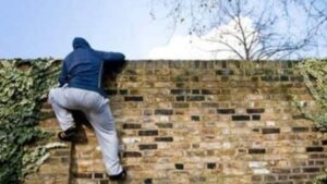 robo vivienda tapial