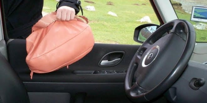cartera robo