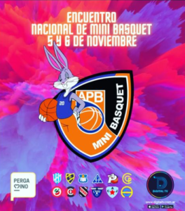mini basquet