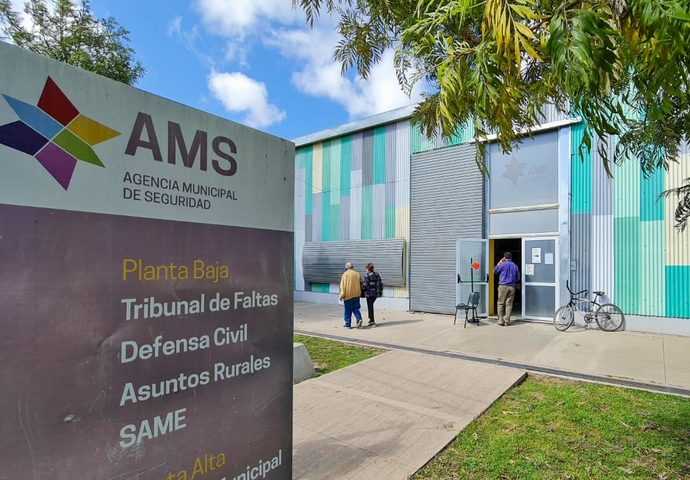 tribunal de faltas