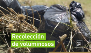 voluminosos