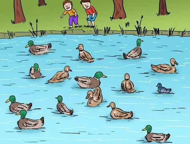 patos