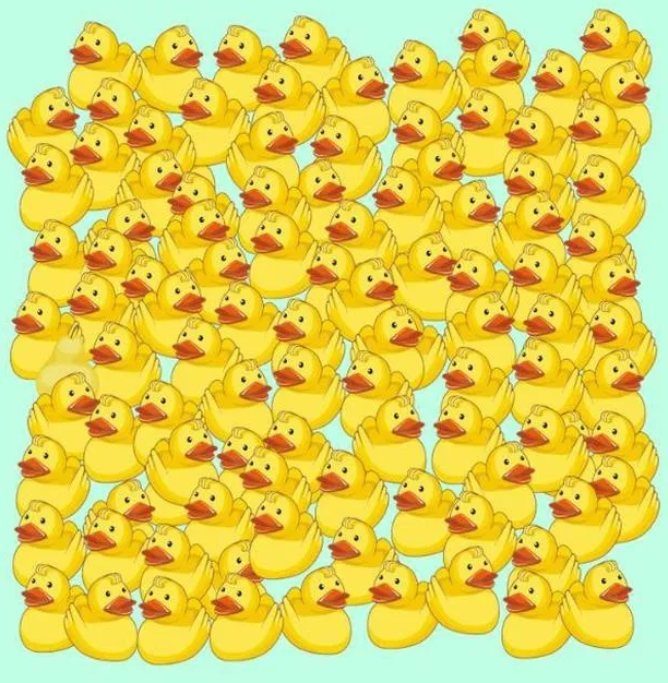 patos