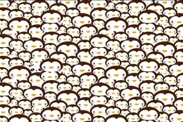 pinguinos