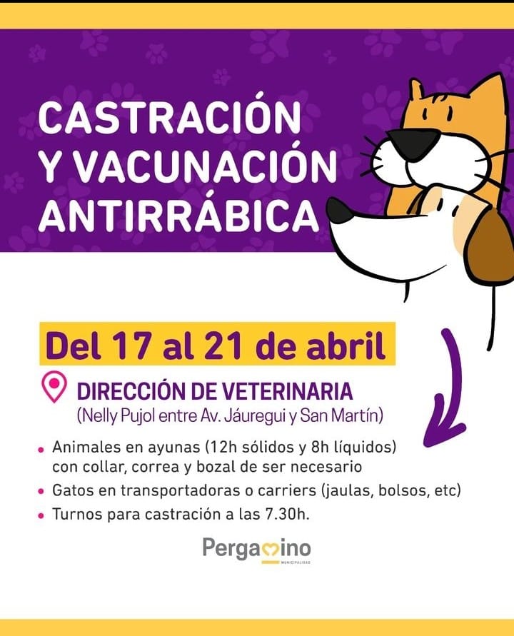 veterinaria